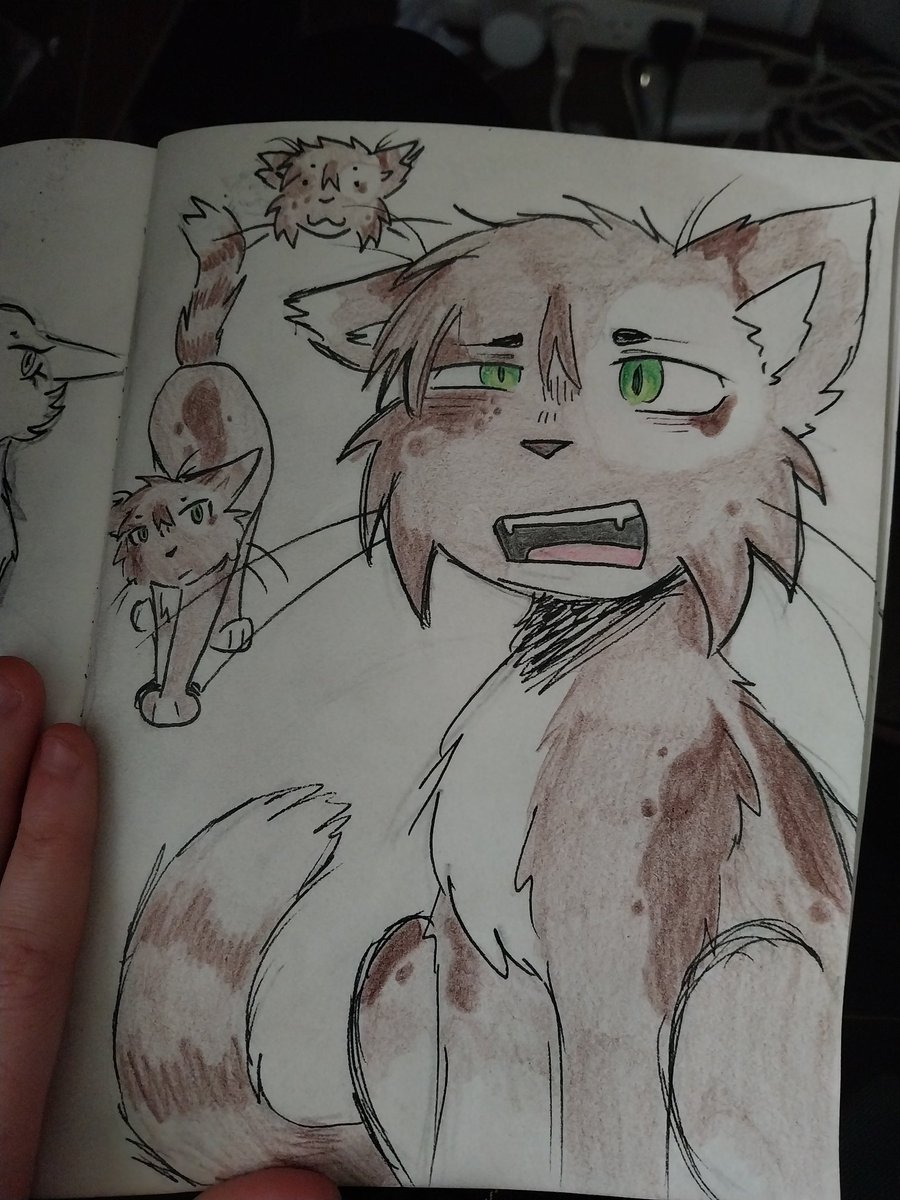 dorde2109's tweet photo. drawin kitties again too yeah uh this is kinda oldish but uh i love you warrior cats this is an oc and uh yeah! drew in class i think ooohhh im such a rebel https://t.co/2vpTm079iq