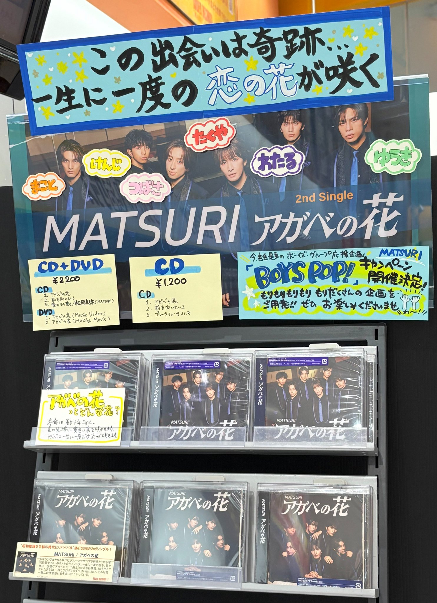 MATSURI アガベの花 ポストカード 直筆サイン入り タワーレコード MATSURI】MATSURI 2nd Single『アガベの花』発売記念