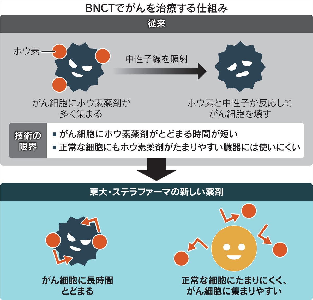 nikkei's tweet image. 膵臓がんなど狙い撃ち、次世代放射線治療の薬剤開発
nikkei.com/article/DGXZQO…

東京大学とステラファーマは、治療に使う薬剤ががん細胞に取り込まれて長時間とどまるように改良。「ホウ素中性子捕捉療法（BNCT）」の効果を高めます。