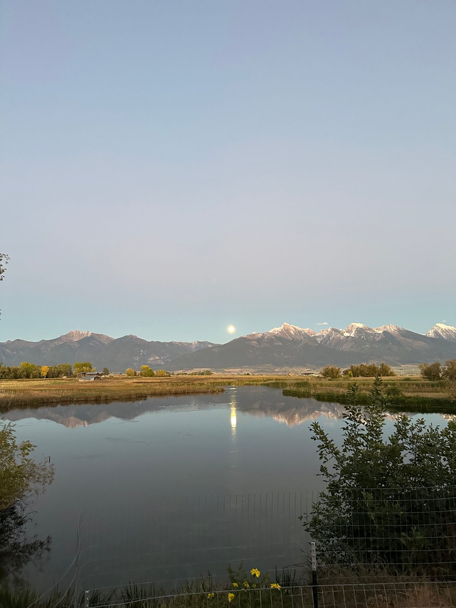 The Full Moon of October is known as the Hunter's Moon. Check out these photos that have been shared with us.

Did you get a chance to see the Full Hunter's Moon? Share your photos at nbcmontana.com/chimein