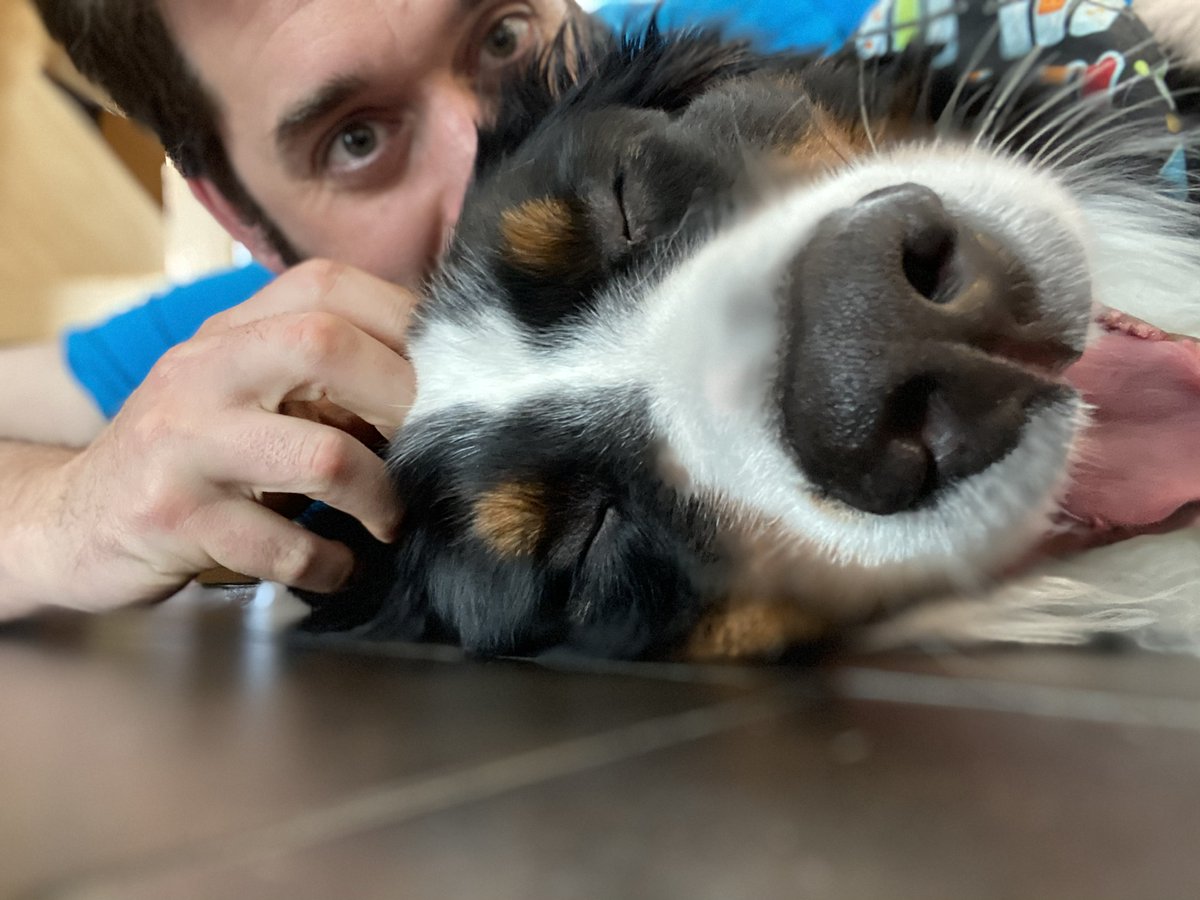 bunsenbernerbmd's tweet image. 🚨BREAKING NEWS🚨

DOGS ARE STILL GOOD TODAY