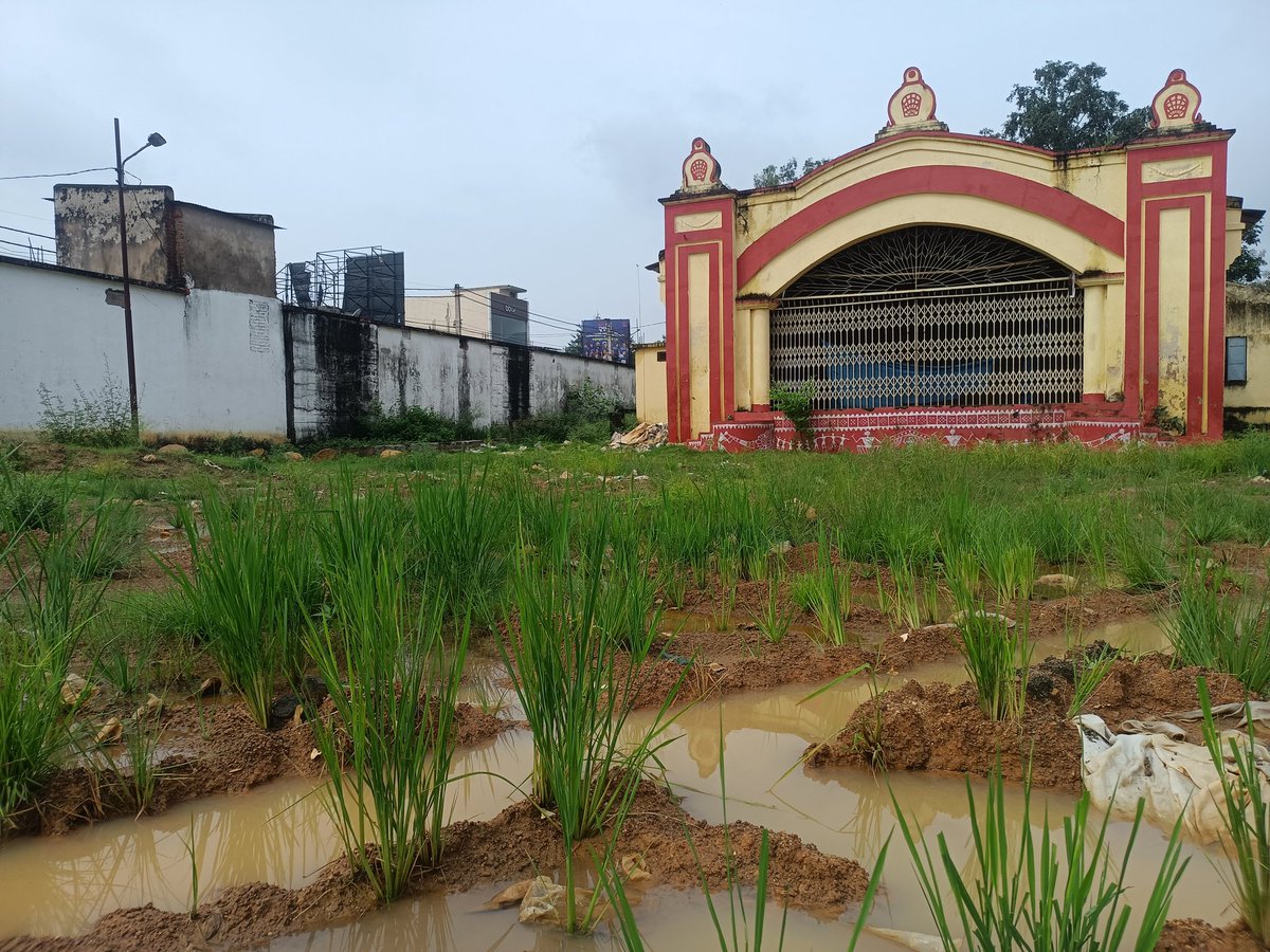 prasant03591483's tweet photo. ଐତିହାସିକ କଳାମଣ୍ଡଳ ପଡିଆରେ ଧାନ ଚାଷ
ବଲାଙ୍ଗିର ସହରର କେନ୍ଦ୍ର ସ୍ଥଳିରେ ରହିଥିବା କୋଳଶ କଳା ମଣ୍ଡଳର ଉନ୍ନତିକରଣ ପାଇଁ ରାଜ୍ୟ ସରକାର ବିଗତ ଦିନରେ ୩ କୋଟି ୯୦ ଲକ୍ଷ ଟଙ୍କା ମଂଜୁର କରିଥିଲେ । କିନ୍ତୁ କାର୍ଯ୍ୟଭାର ନେଇଥିବା ସଂସ୍ଥା କୋଶଳ କଳା ମଣ୍ଡଳ ପଡିଆରେ ମାଟି କାଦ https://t.co/W5VKXeQv0p