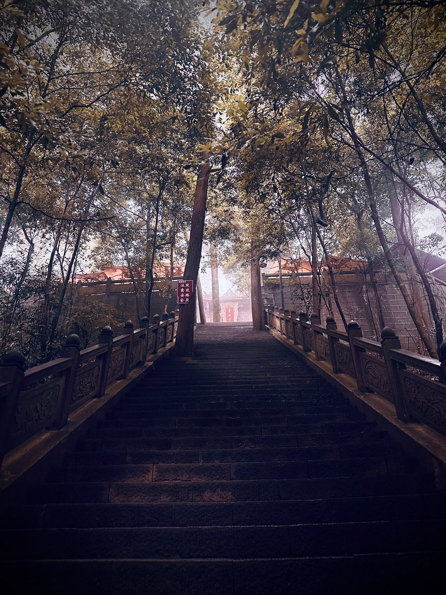 普照寺，阳光普照人间 #BUIDL #TagAI