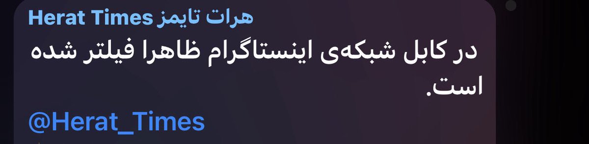Angela Ghayour (آنجلا غیور)🌹 (@angelaghayour_) on Twitter photo 