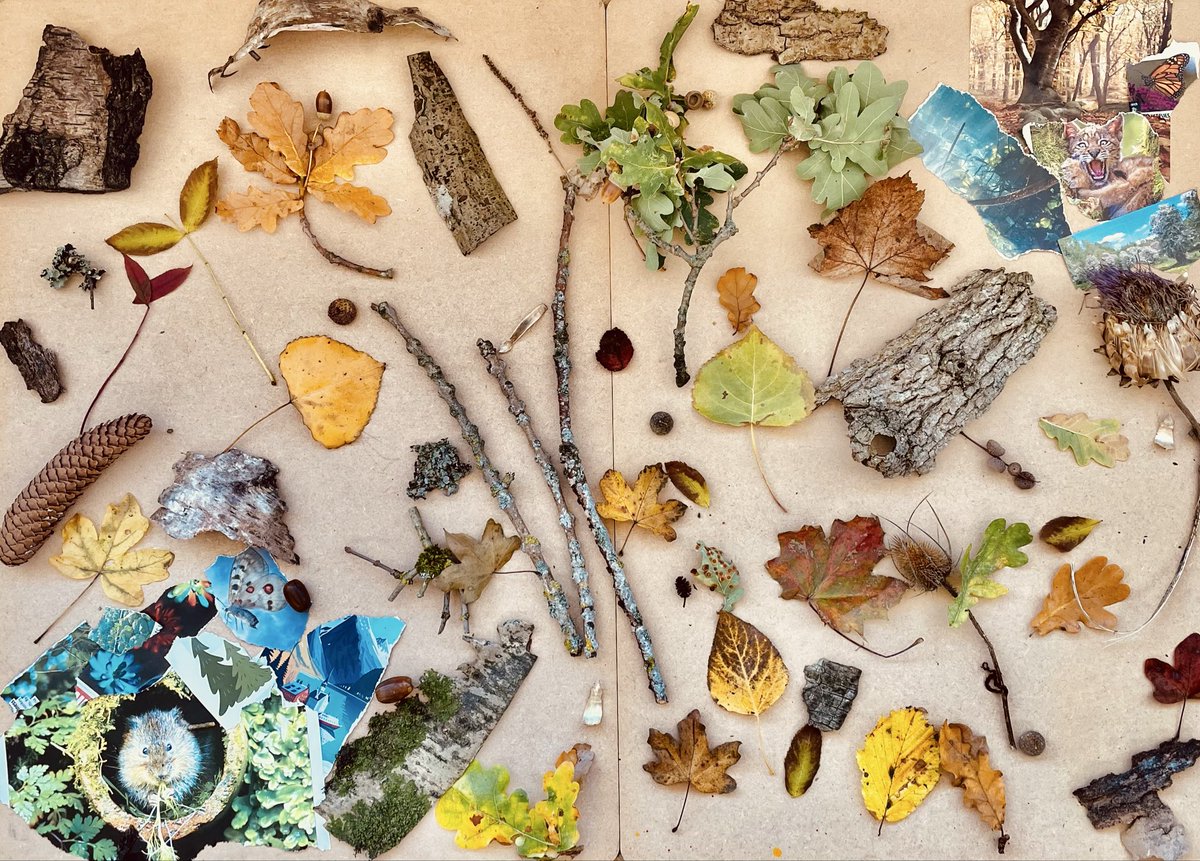 Autumn days! Brilliant autumnal foraging LB <a href="/bowbrookhouse/">BowbrookHouseSchool</a> <a href="/HeadmasterBBHS/">HeadmasterBBHS</a>