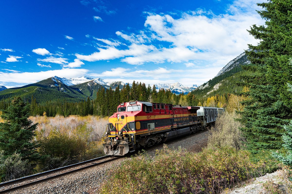 John Morris tweet media