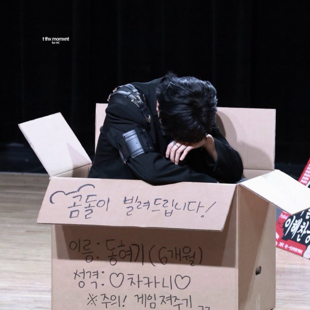 자기 여자들 앞에서 9년 동안 애교 왕창 떨었음에도
불구하고 하염없이 부끄러워하면서 할 건 다 해주는
남자가 찐임