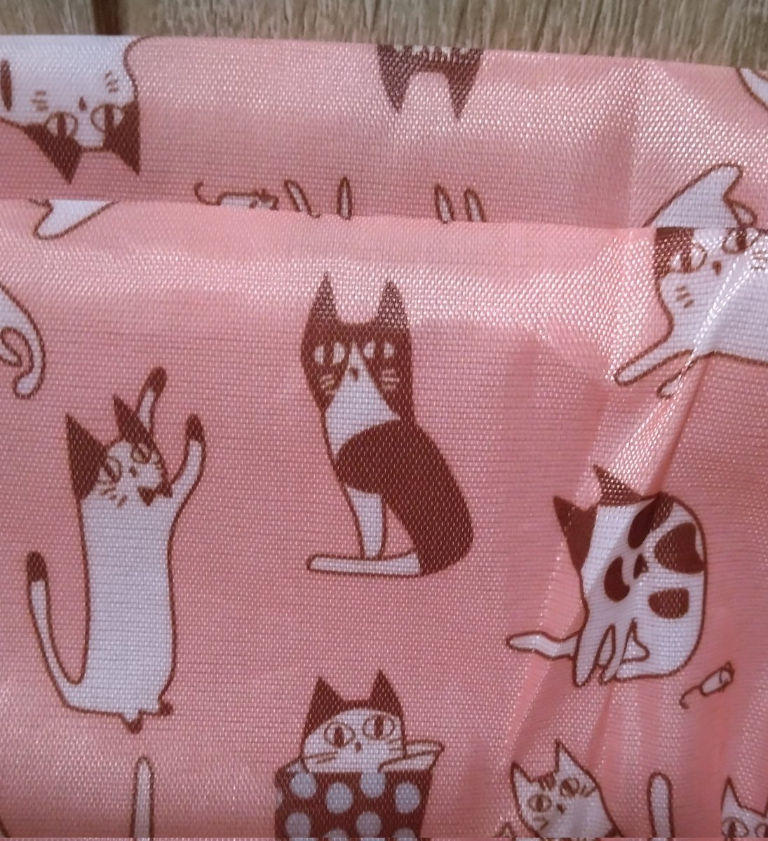 まめ♀(下半身麻痺の猫) (@jigzs8bsVVByZXY) / Posts / X