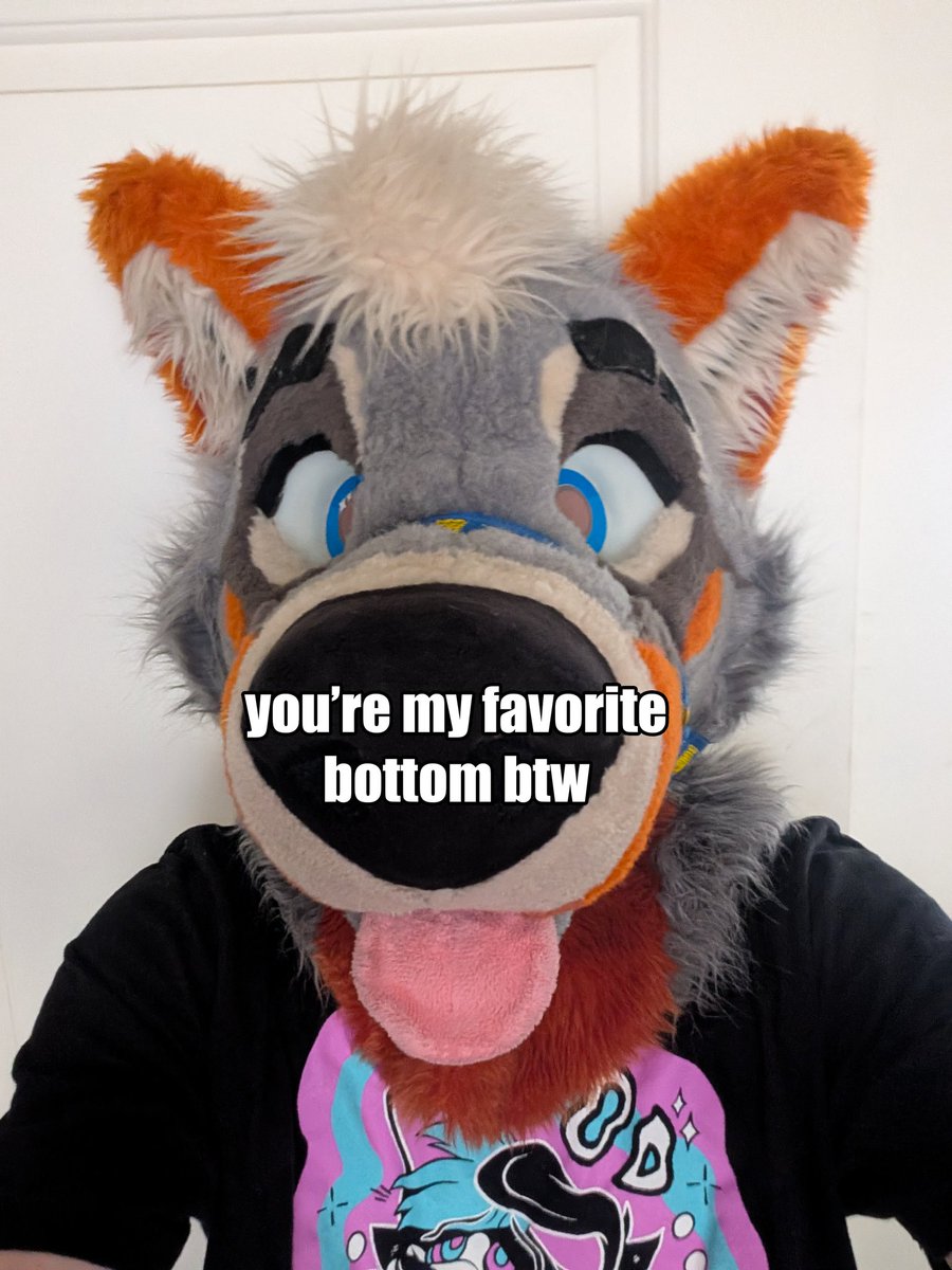 PartDoggo's tweet image. My little pogchamp 🥺