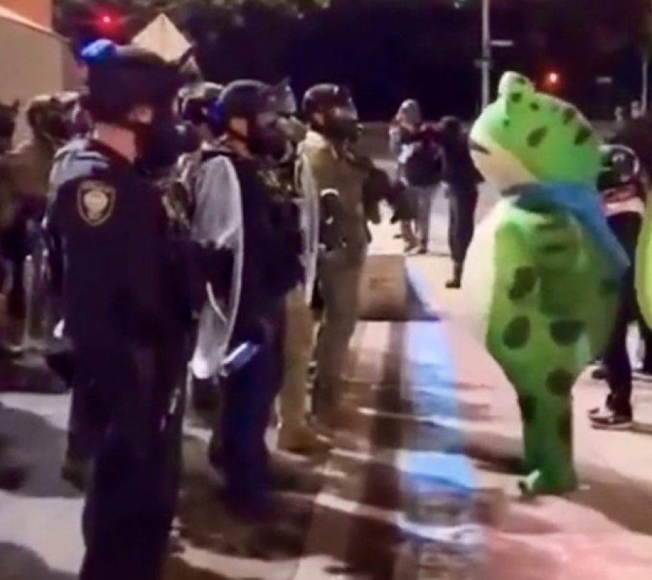 __Terrific__'s tweet image. I don’t see anything on fire. Just an unarmed guy in an inflatable frog costume. 🐸 

#Portland #NotAWarZone
