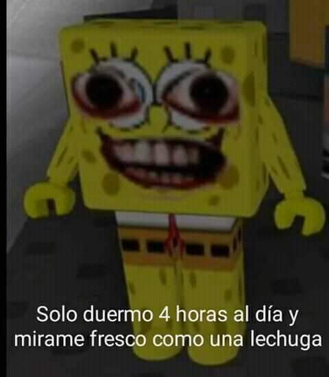 FranCiancioci's tweet image. 