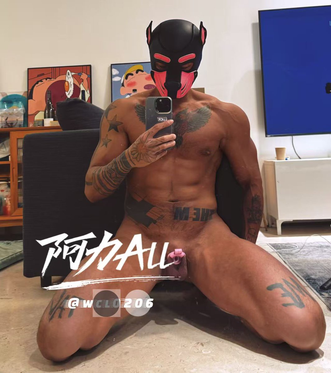 阿力 丨 tweet media