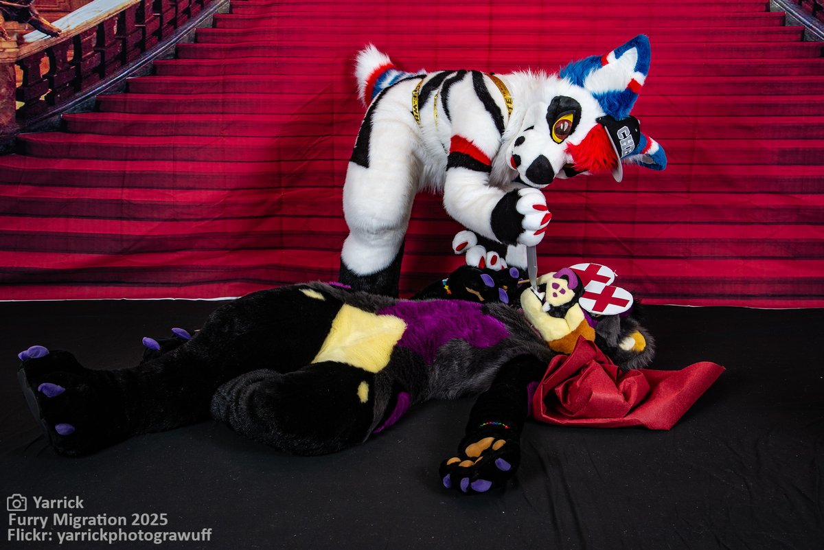 Wavey/Holly/Zel (@waveyjaguar) on Twitter photo She killed me! (with Kindness) 
๐ธ: <a href="/Yarrickwulf/">Yarrick, Wasteland Wanderer</a> She killed me! (with Kindness) 
๐ธ: <a href="/Yarrickwulf/">Yarrick, Wasteland Wanderer</a>