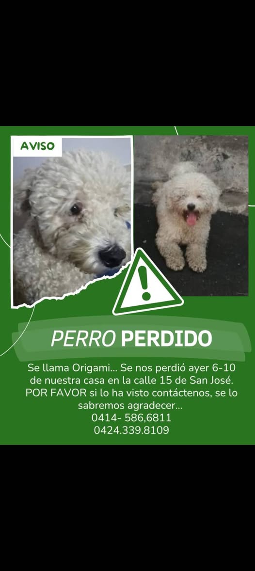 A64029345's tweet image. Sigue perdido ... Maracay ayudemos a encontrarlo..CASO DE TERCEROS..