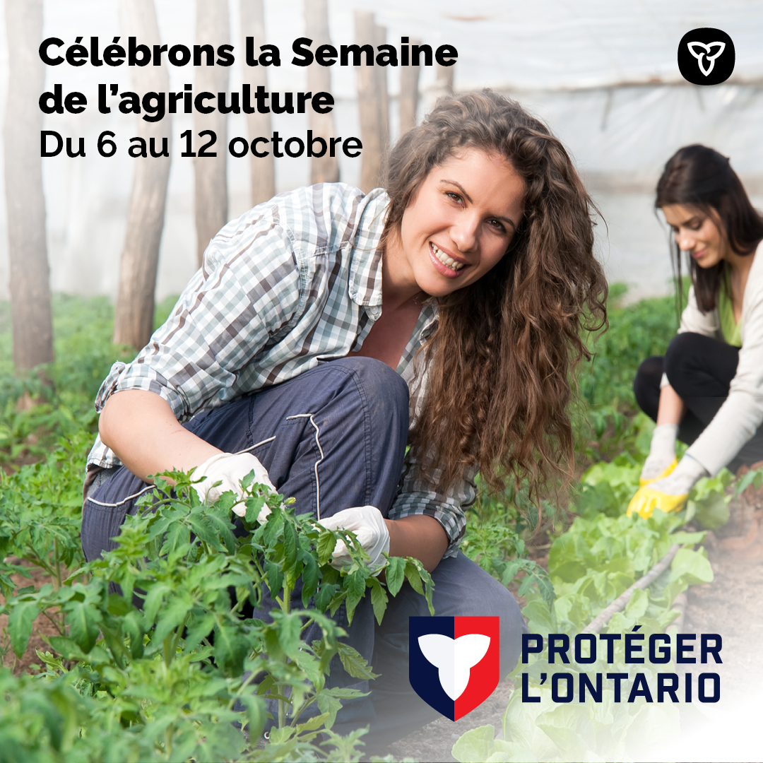 Célébrons la Semaine de l’agriculture en Ontario! Notre stratégie Cultiver l’Ontario vise à renforcer notre formidable secteur agricole, agroalimentaire et de l’agroentreprise. Lien : ontario.ca/fr/page/strate…

#semaineagriONT