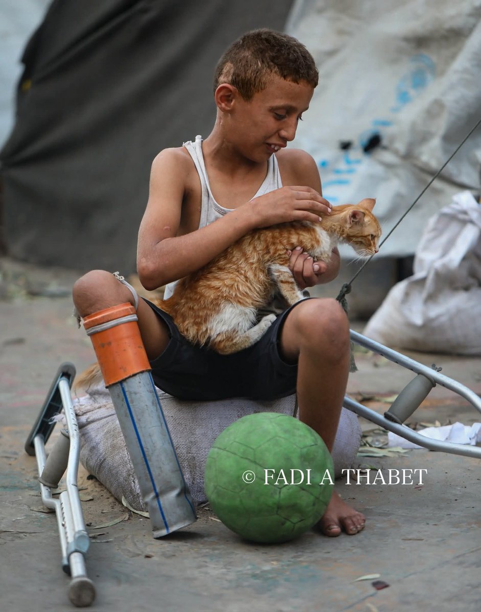 Mustafa Darwesh 𝕏 tweet media