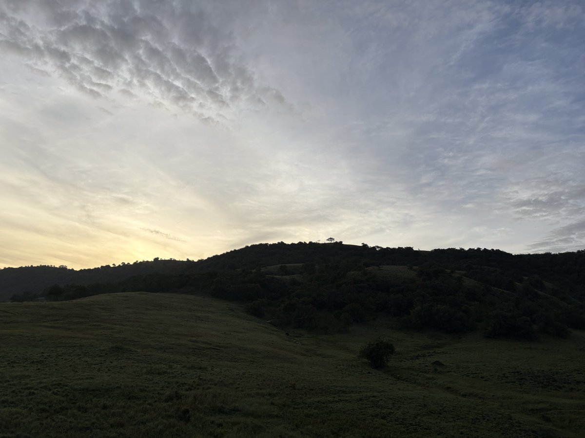 rajeshdatar2022's tweet image. A beautiful skyline