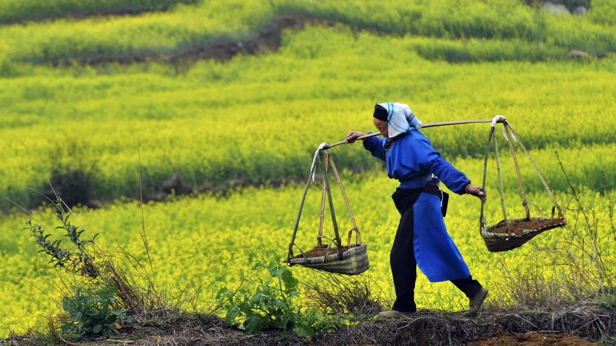 As long as Americans are not permitted by Chinese law from owning property in China, no Chinese individual or company should own an inch of American land. And….no surrogates owning land on behalf of China.