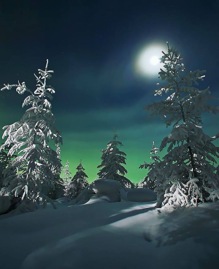 Achi123rd's tweet photo. MIDDAY WINTER HYPE!  ❄️Ural’s icy call ignites—My Winter Urals [https://t.co/rn9fMDCqmM] &amp; A Winter Night's Tale [https://t.co/8OD8FF8msV] are your fire of winter! Mint now—what’s your midday winter blaze?  #WinterMagic #NFTDrop #UralWinter #OpenSea🌌 https://t.co/TQRBZhrO2v