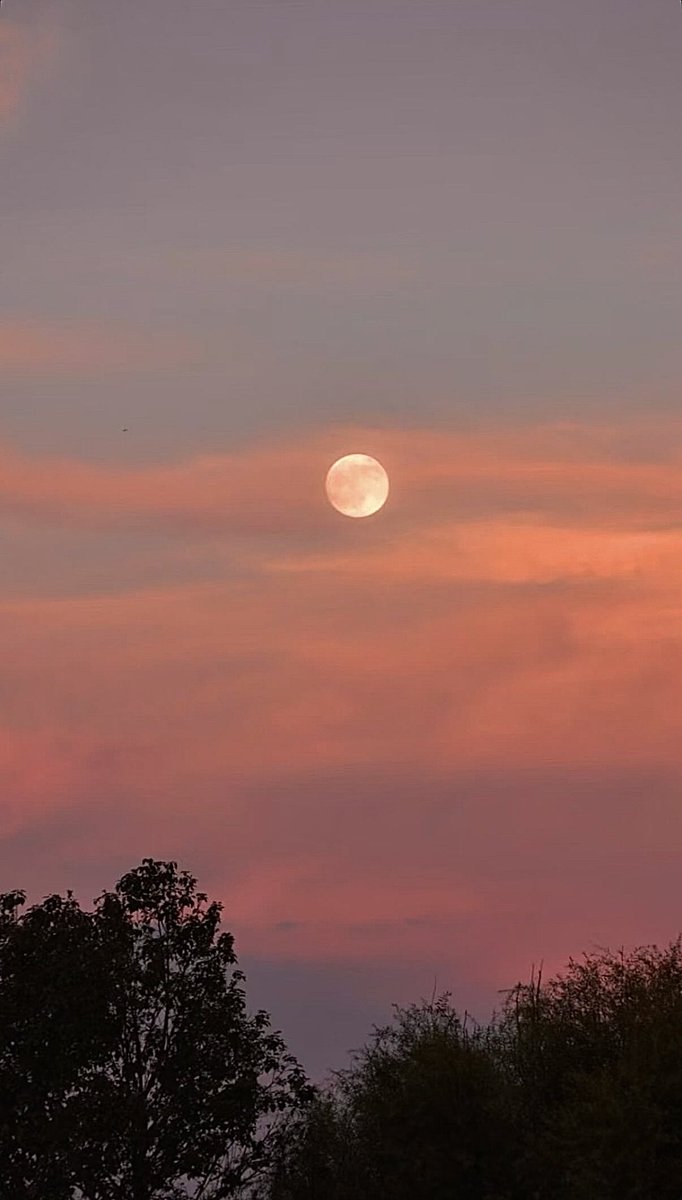 shavoawesome's tweet photo. the moon looks so🥺 https://t.co/ZHi8AFMcyL