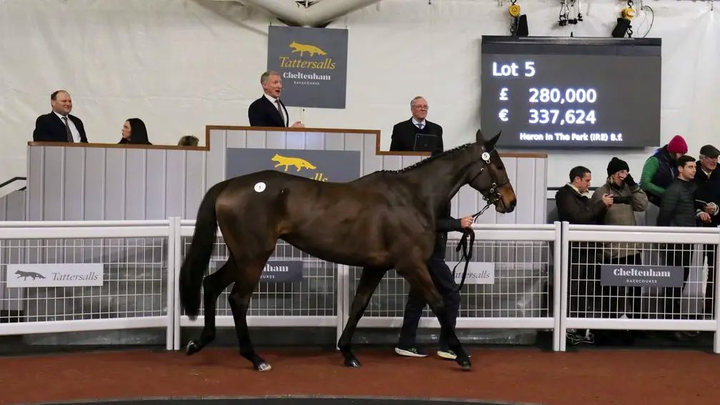 🚨 2025/26 Jumps Horses To Follow:

🐎 - Name: Heron In The Park 

👤 - Trainer: Tom George  

👤 - Owner: Damian Tiernan

📝 - This Walk In The Park mare made an impressive debut at Borris House in a point-to-point race, winning easily by nine and a half lengths. Both the second