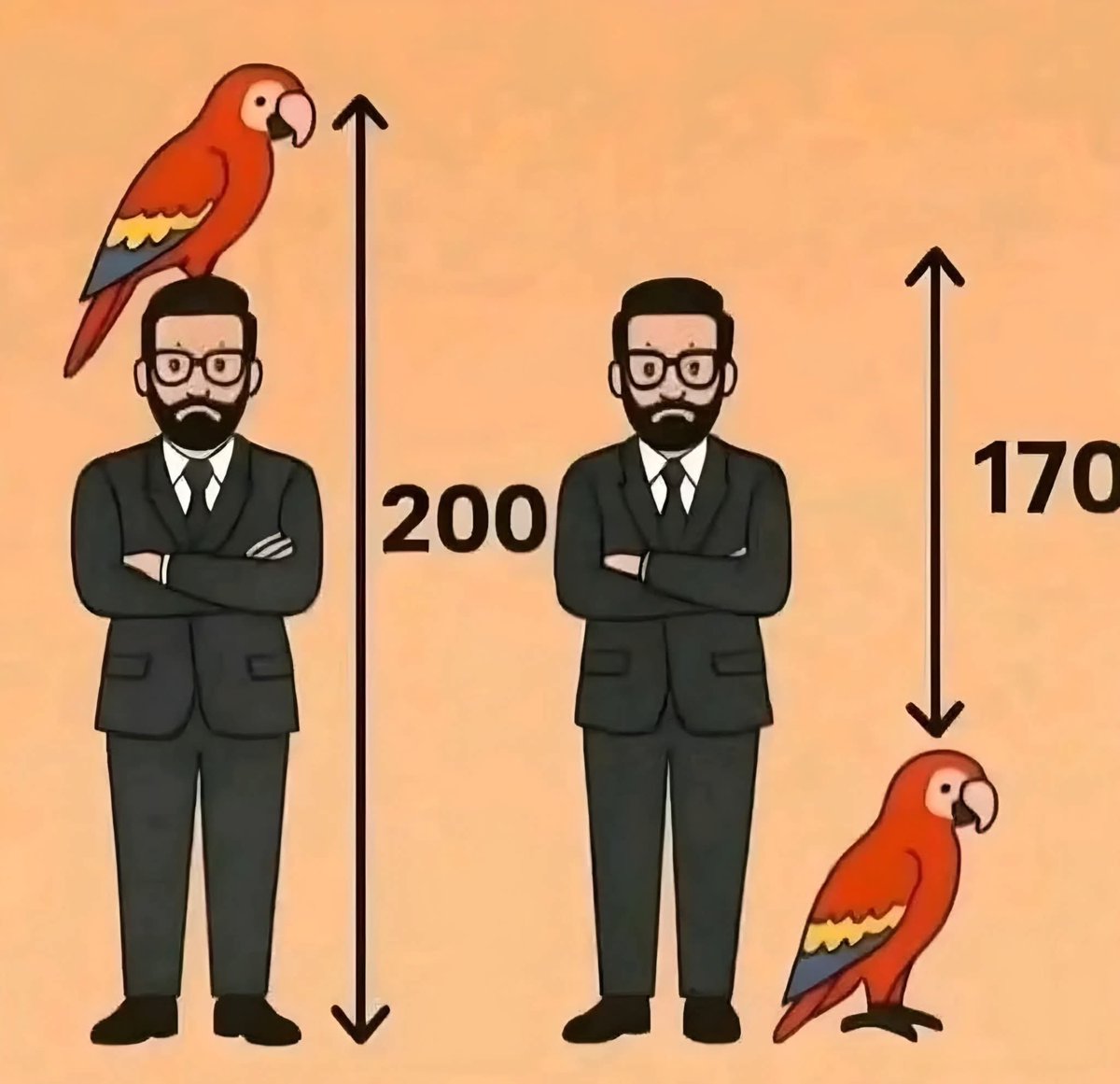 سؤال يحتاج إلى تفكير🧐

تتوقعون كم طول الببغاء؟🦜