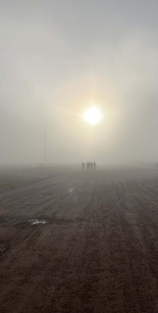 wyo_track's tweet photo. Mornings in Laradise ☁️ https://t.co/9knw6oySJh