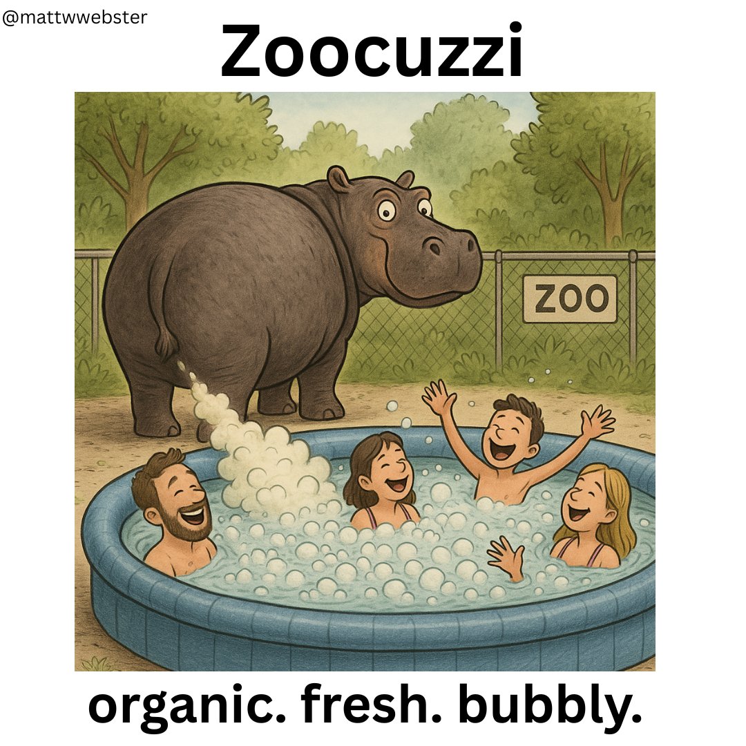 MattWWebster's tweet image. One Minute Brief of the Day: Create posters to advertise #Jacuzzis 🫧 📷 @OneMinuteBriefs #oneminutebriefs 🦛