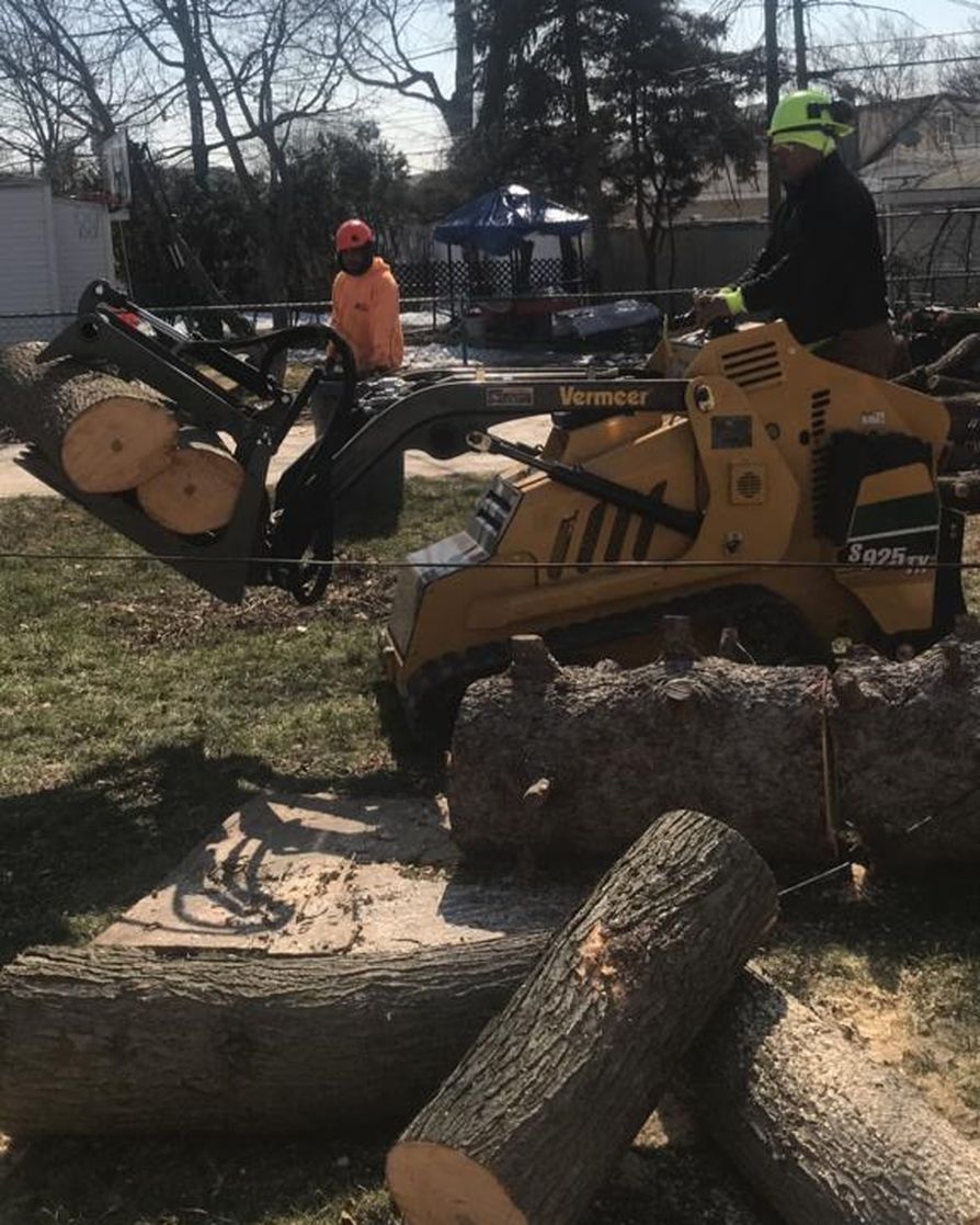 RJOzunasTreeSe1's tweet image. When fallen trees create a hazard, we’re here to help 24/7. Count on our emergency tree service to respond quickly and get the job done right. Save our info today!
#EmergencyTreeService 
elmhursttreeremoval.com/_