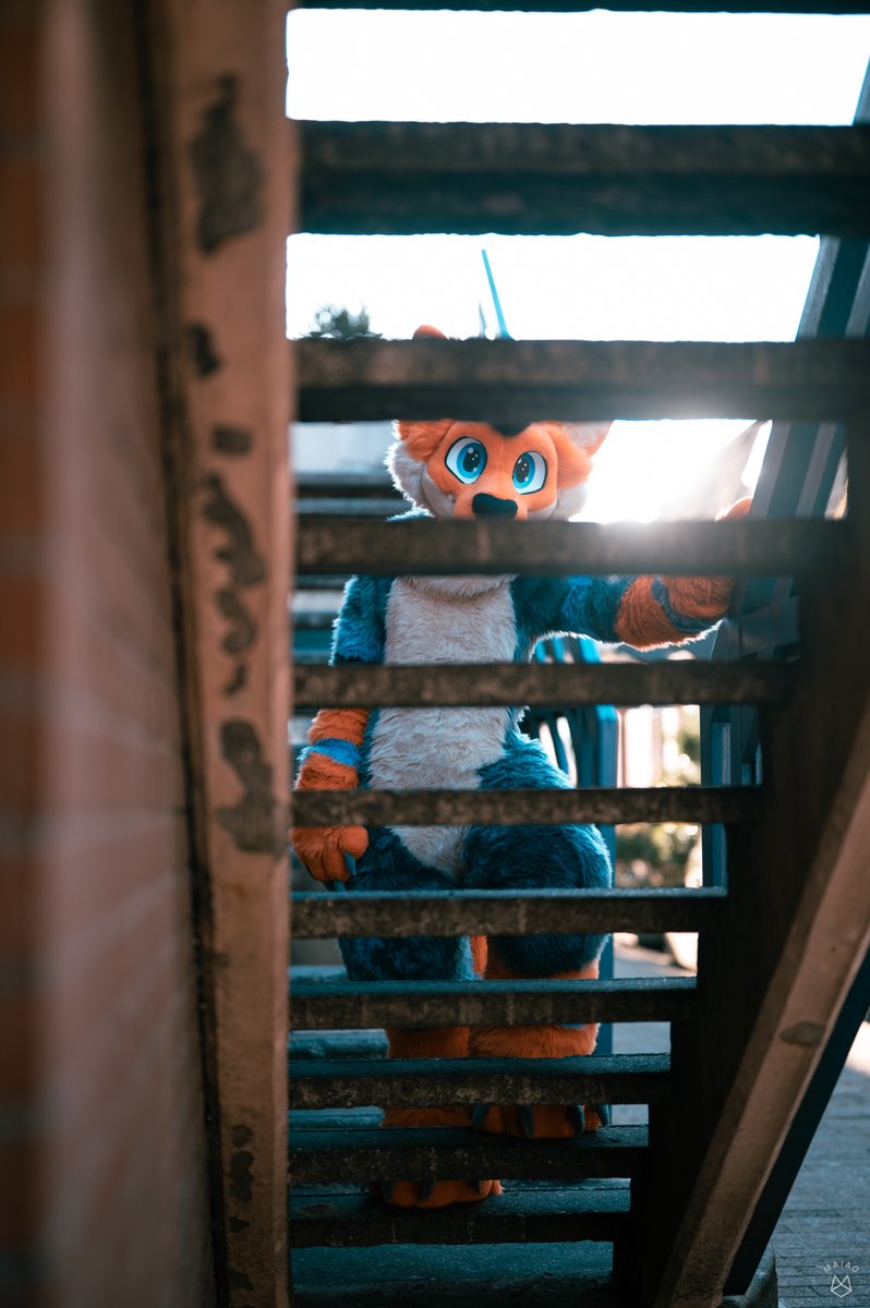 Bonjour, que faites-vous sous mes escaliers ? Tu as peur de demander un hug ? :3

Magnifique photo📸par <a href="/leggyyyyyyy/">Maiao ⏚</a> 

#furry #fursuit