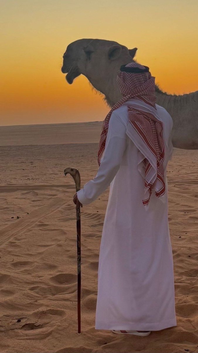 اخذت رمحٍ يمزع الكبد ملحوم 
من لايعه دور براد الضلالي