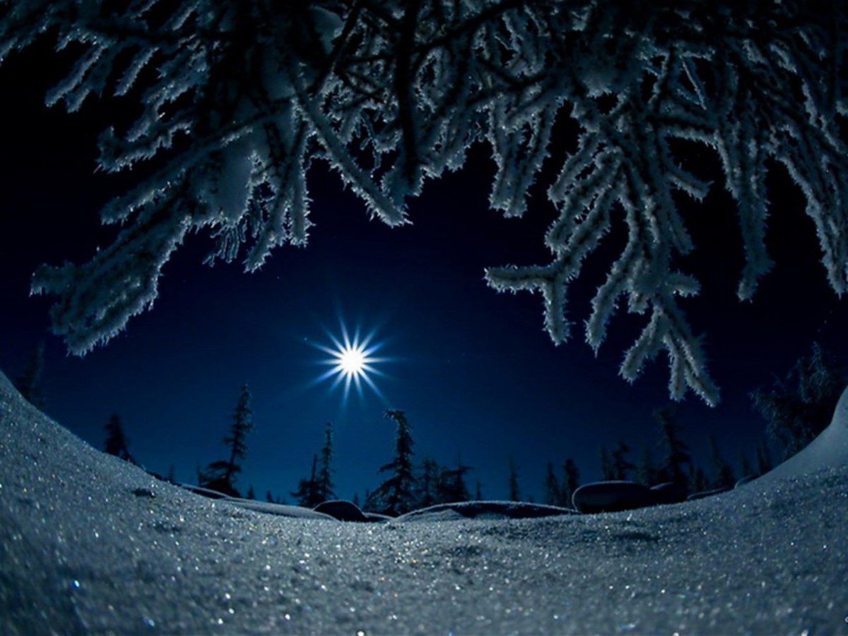 Achi123rd's tweet photo. @Cristiano @selecaoportugal Cristiano, your return warms Ural’s icy heart!  Winter Urals [https://t.co/rn9fMDCqmM] &amp; A Winter Night's Tale [https://t.co/8OD8FF8msV] echo your spirit—mint it! What’s your winter comeback goal?  #WinterMagic https://t.co/gllM451H9P
