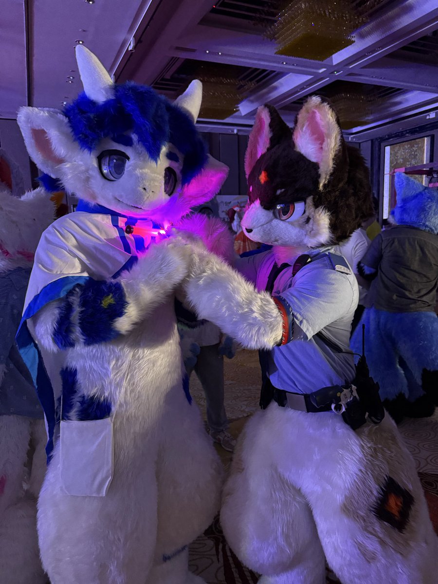 SHENJUE5's tweet photo. @rairo_wolf 
@General_Huii 
小警犬的随机巡查 https://t.co/niuSjTgMCo