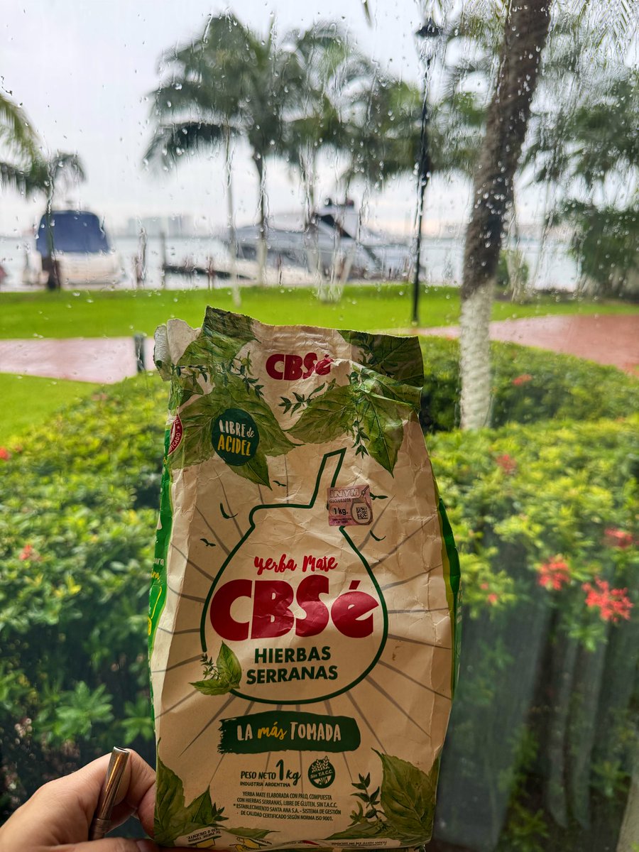 Liconeando's tweet image. Me regalaron esta yerba mate, amé. ¿Donde la consigo en Cancún? 🧉 

(Foto ventana lloviendo para llamar la atención).