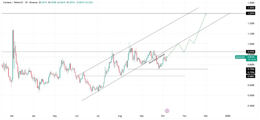 xBull_BTC's tweet image. 🚀 $ADA is showing strong signs of recovery ahead of the ETF decision.
After bouncing back from the $0.75 level, increasing open interest and shrinking supply are signaling renewed market confidence.

🔄 Shared via the CoinEx Creator Program
@coinexcreators #ADA #Crypto