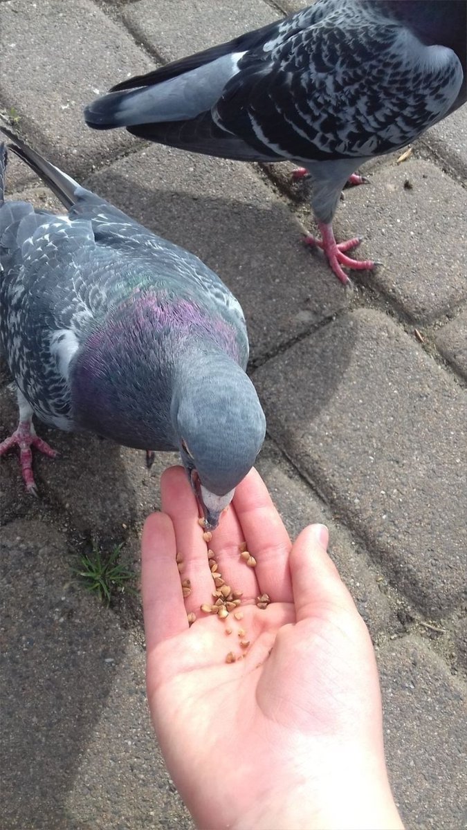 SadafAs80802699's tweet image. ساکوں ایویں سُنڑ.... 
جیویں کہیں توں نکھڑیا کوئی سنڑدے۔....
 ادھ رات کوں غزلاں نصرت دیاں!!!!
🩶🎧