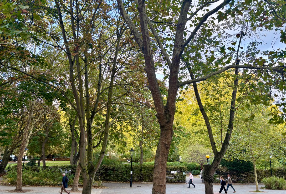 LiviaNairobi's tweet image. We have the most beautiful little parks. 

#london #TuesdayFeeling