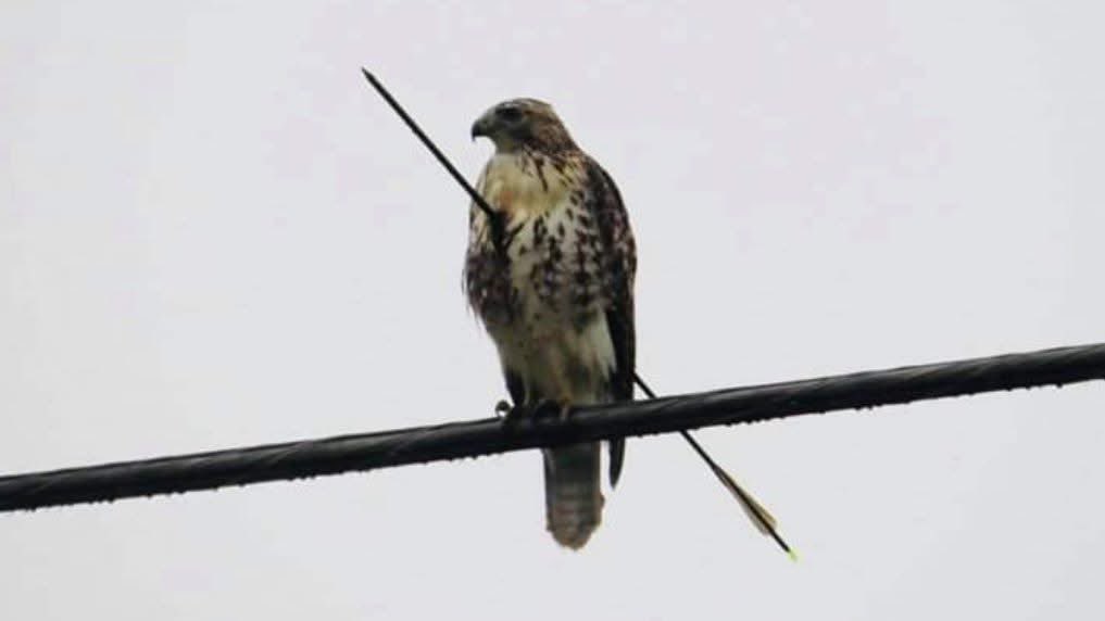 أحياناً يكون أكبر أنجازات الإنسَان 
إنه صبور مهما كانت صعوبة الأمر