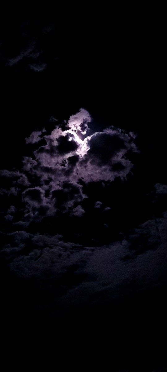 techie_clicks's tweet image. Check these clicks 📸! 
Captured by S21