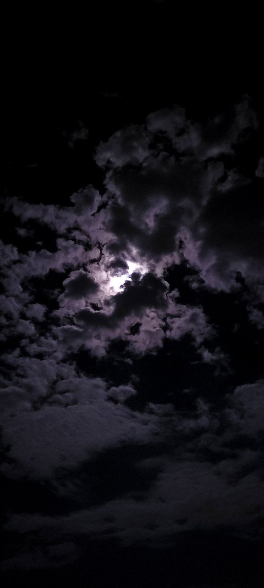 techie_clicks's tweet image. Check these clicks 📸! 
Captured by S21