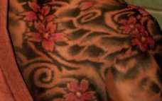 Resident Leo. tweet media