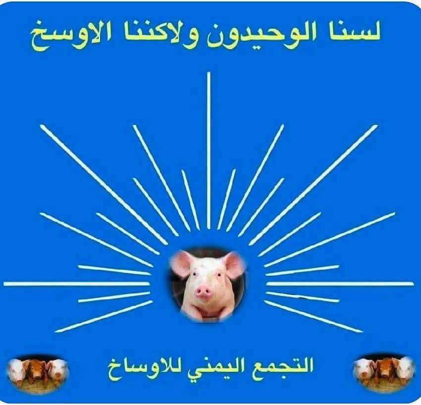 احمد الشرعبي tweet media