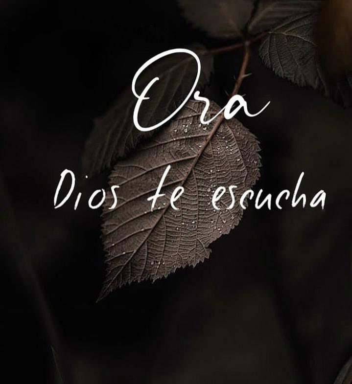 SoloReflexiones's tweet photo. https://t.co/hUGBOQQ2sH