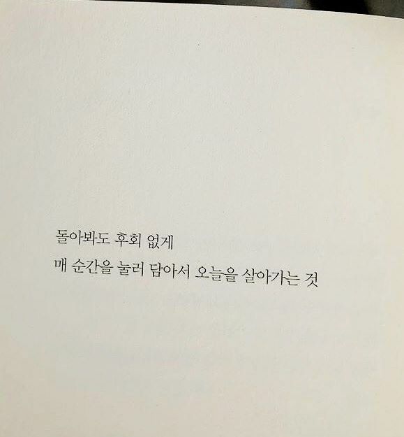 늘푸른소나무 (@nulpuleunsonamu) on Twitter photo 