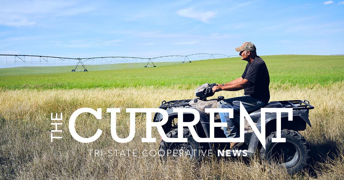 ⚡ Catch up on all things Tri-State with the new issue of The Current: 
lnkd.in/g9VF49yx

#Cooperative #BetterTogether #Tristatecoop