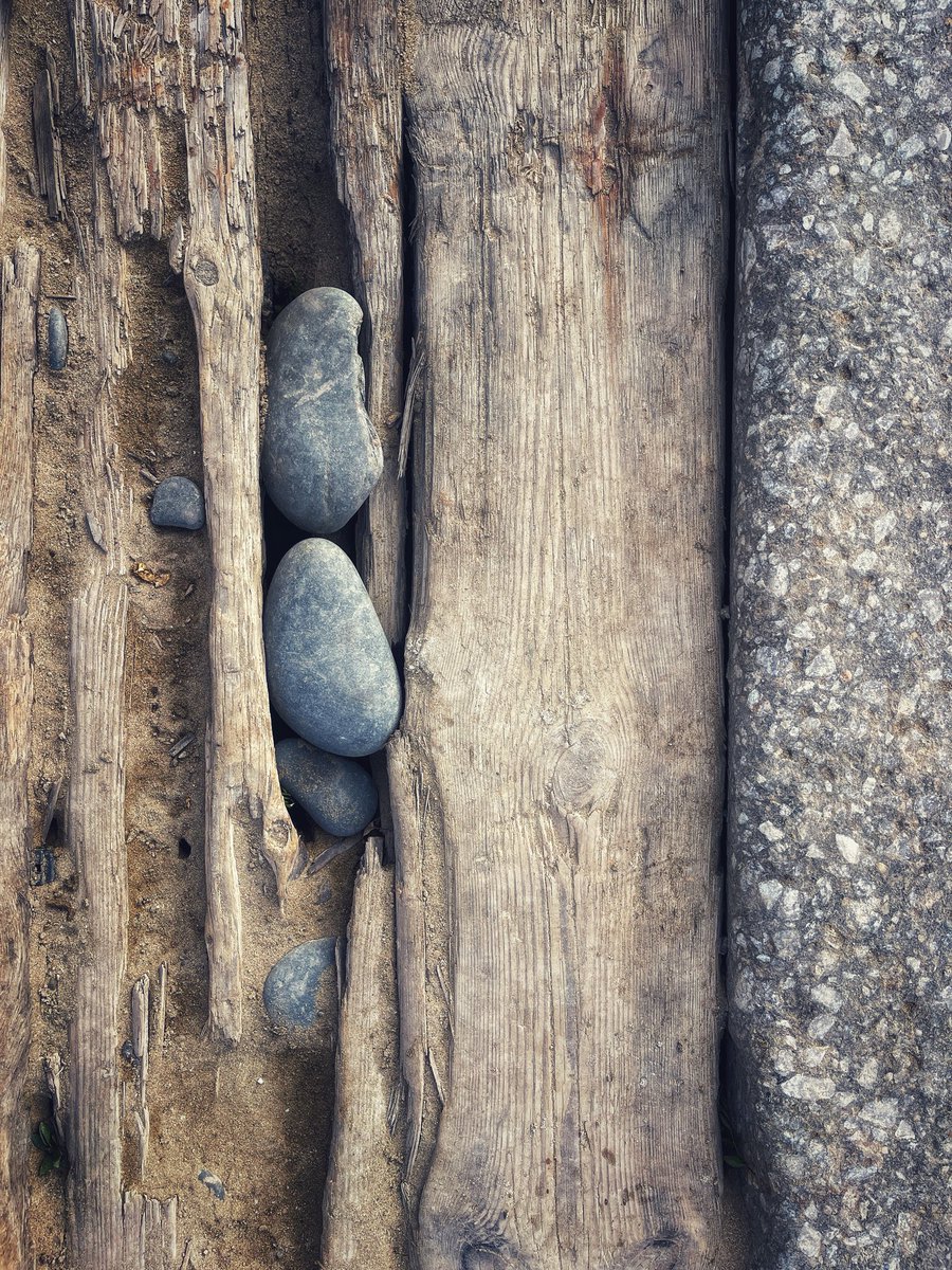 “Life moves pretty fast. If you don’t stop and look around once in a while, you could miss it” #ferrisbueller #devon #this_devon <a href="/NorthamBurrows/">Northam Burrows Country Park</a>