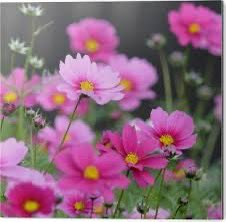 <a href="/luismerlo_actor/">Luis Merlo (Oficial)</a> La vida está llena de momentos , momentos compartidos de felicidad con  personas admirables , amig@s entrañables .. Que nos dieron ( que nos dan ) tantos recuerdos imborrables en nuestra vida que están siempre en nuestra memoria y ahí permanecerán para siempre ❤️❤️