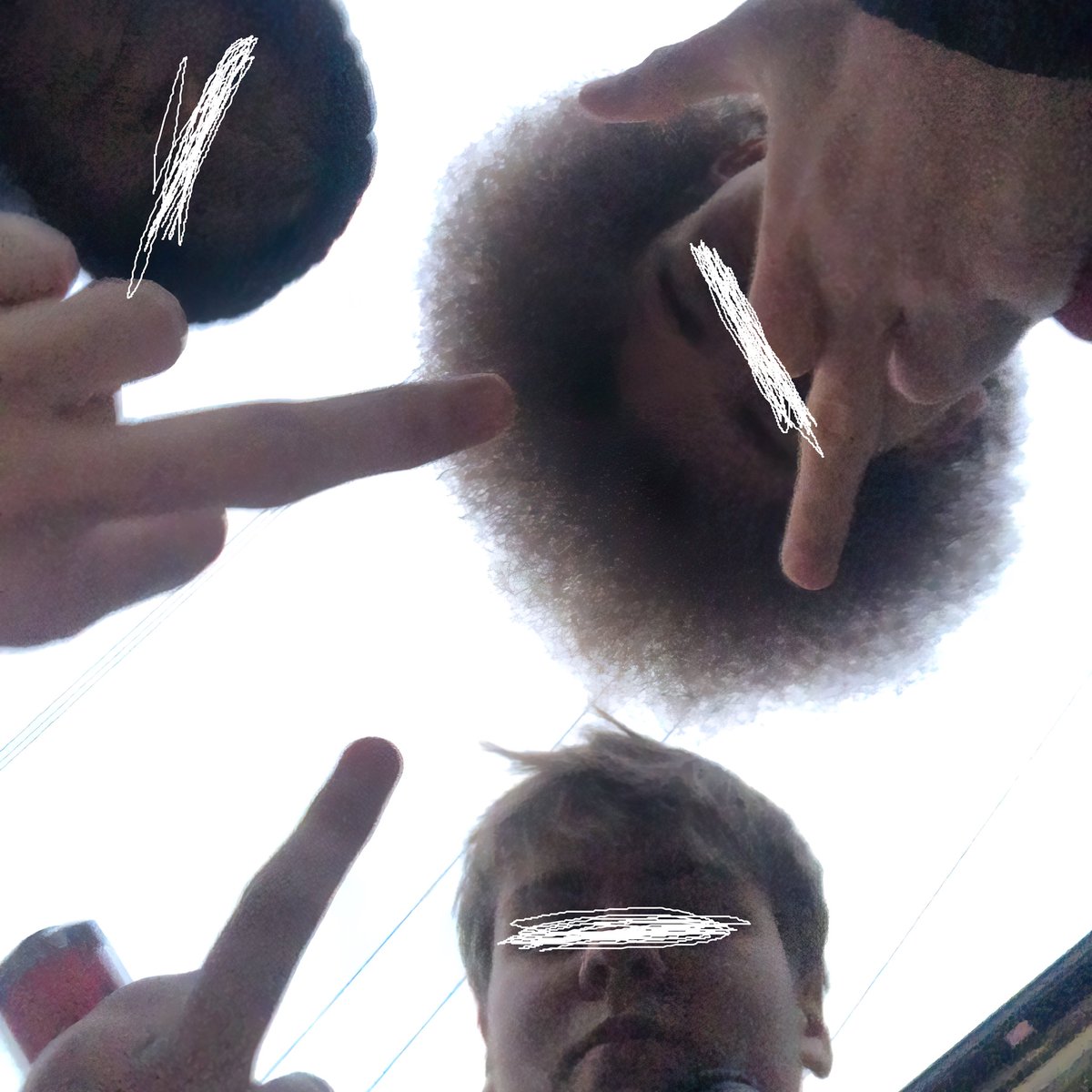 MyPetFlamingo tweet media