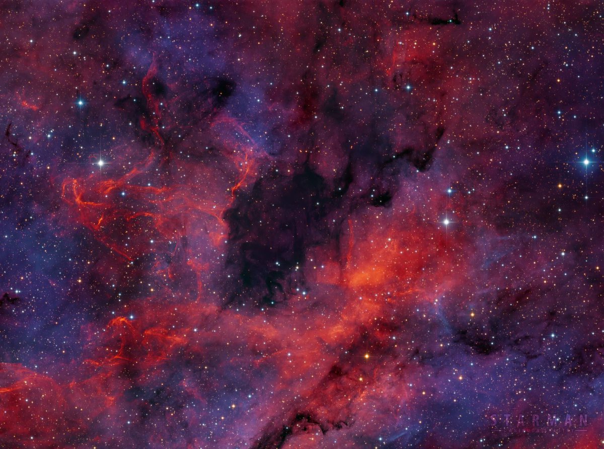 AstroBin's Image of the Day: "LDN 877: A 56 Hour Rendition On The Hidden Architecture Of The Milky Way" by Ani Shastry - astrobin.com/hg5i9f/

#astrophotography