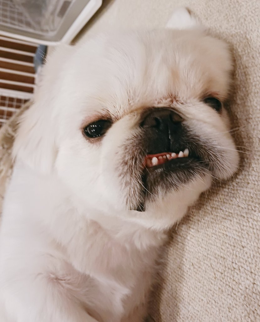 yucchomee's tweet image. まぶい子。&quot;にゅ～&quot;って感じの子